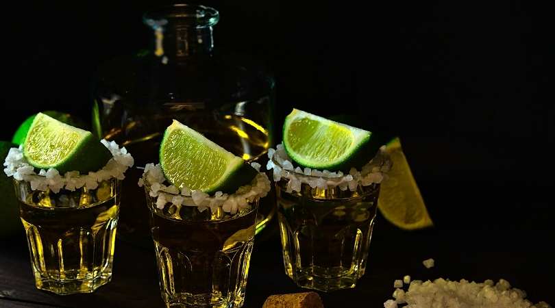 tequila farming