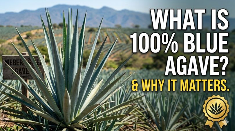 100% blue weber agave